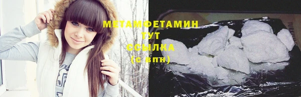 индика Абаза