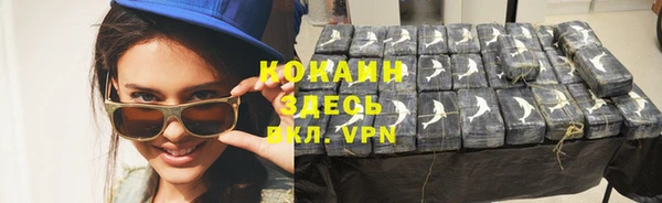 индика Абаза