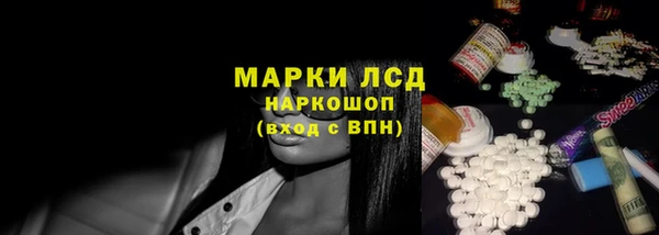 индика Абаза