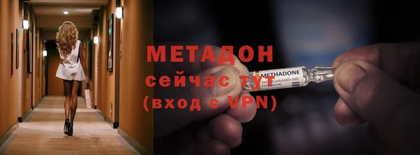 индика Абаза