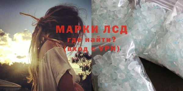 индика Абаза